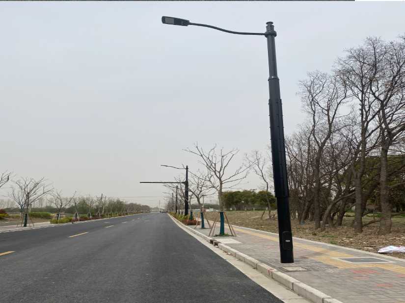 鲁甸县上海综合杆 太阳能路灯工程